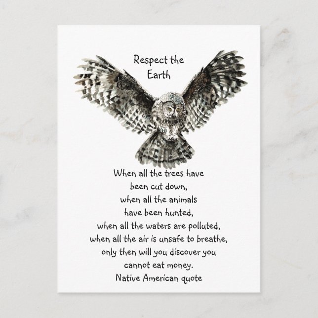 Owl Respekt vor dem amerikanischen Zitat der Erde Postkarte (Vorderseite)