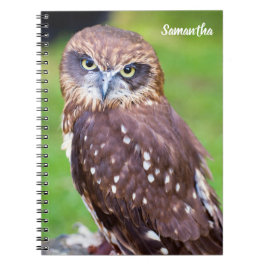 Owl Spirale Notebook Notizblock