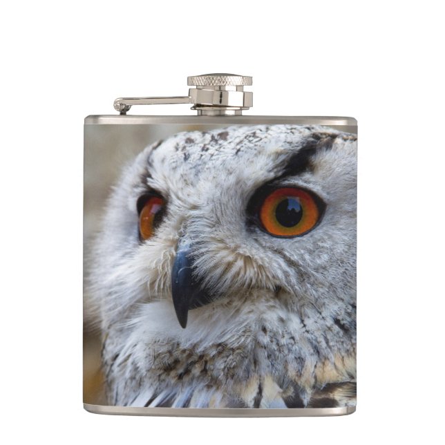 Owl Stainless-Stahlflasche Flachmann (Vorderseite)