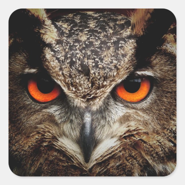 OWL starren Quadratischer Aufkleber (Vorderseite)