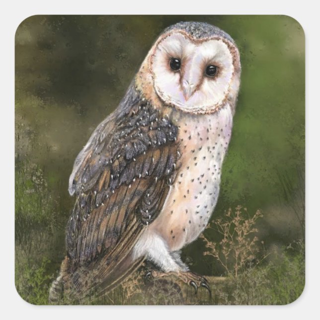 Owl Sticker-Geschenk Quadratischer Aufkleber (Vorderseite)