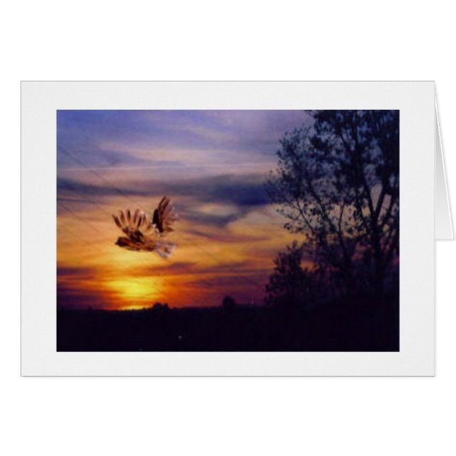 Owl Sunset Foto (Vorderseite (Horizontal))