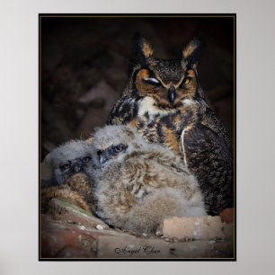 Owl wink New Image, Angel Cher Poster