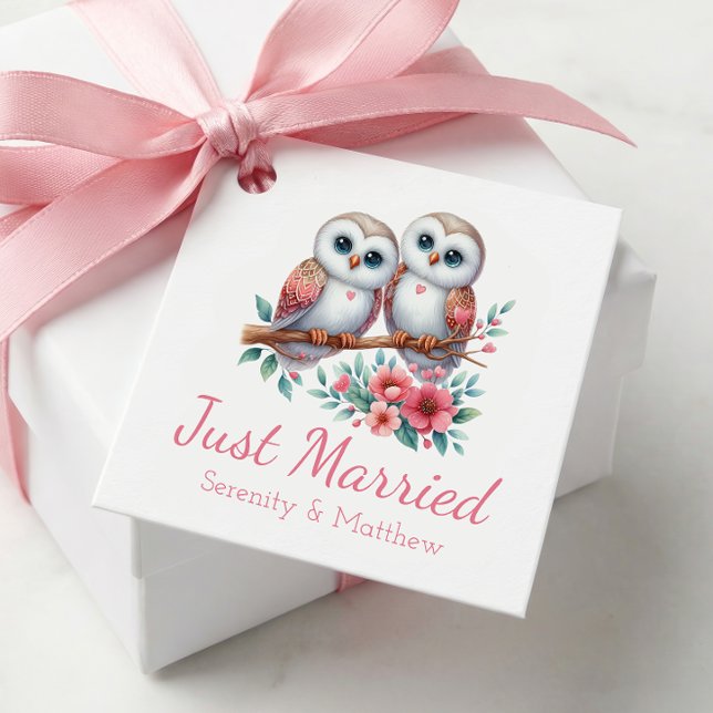 Owl Woodland Boho Rustic Country Just Married Geschenkanhänger (Von Creator hochgeladen)