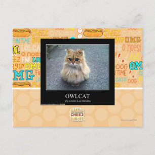 Owlcat Postkarte