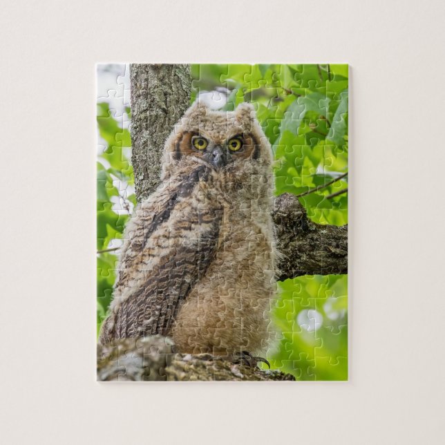 Owlet (Vertikal)