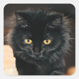 Owlette Quadratischer Aufkleber