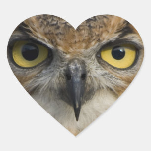 Owls Eyes Herz-Aufkleber