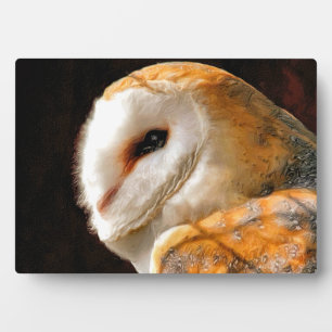 OWLS FOTOPLATTE