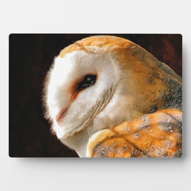 OWLS FOTOPLATTE (Vorderseite)
