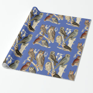 Owls glänzendes Wrapping Paper Geschenkpapier