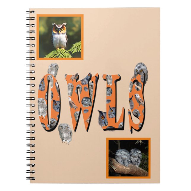 Owls ist der Name, Notizblock (Vorderseite)