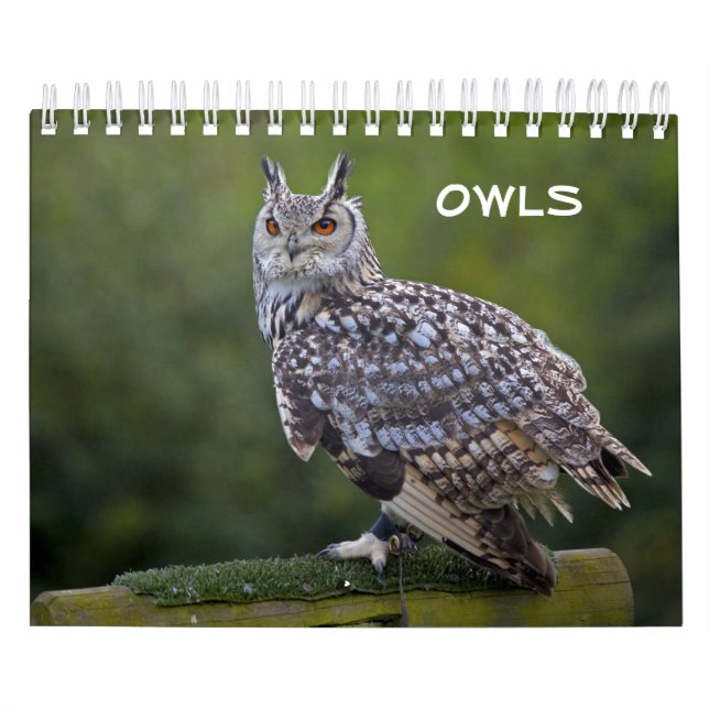 Owls-Kalender Kalender (Titelbild)