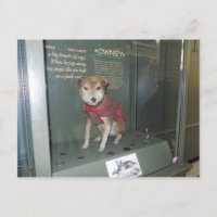 Owney National Post Museum Mascot
