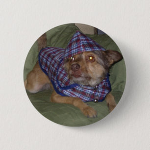Owos Haustiere: Scooby Button