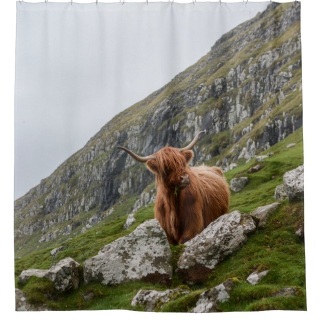 OX AUF BERG DUSCHVORHANG (Vorderseite)