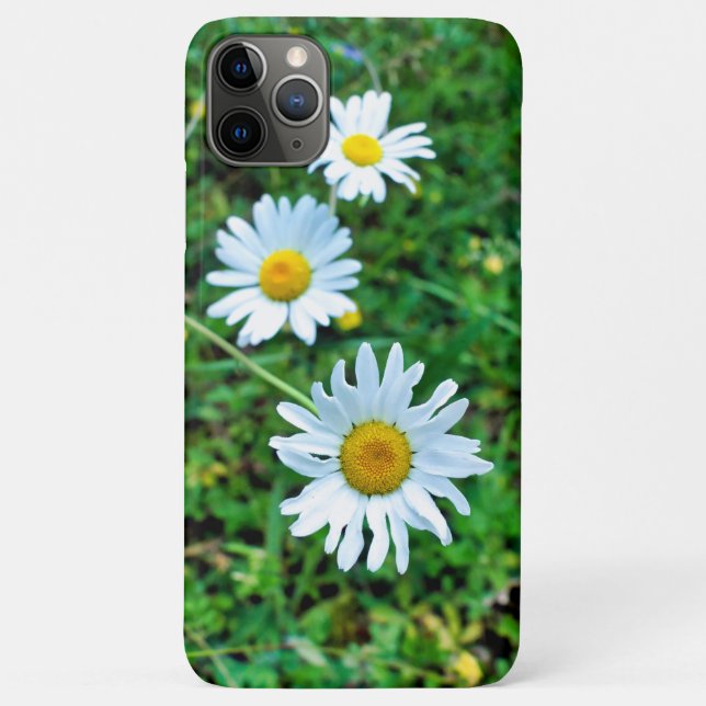 Ox-Eye Daisies Case-Mate iPhone Hülle (Rückseite)