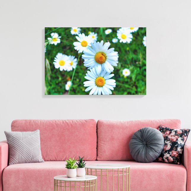 Ox-Eye Daisies Leinwanddruck (Insitu (Wohnzimmer))