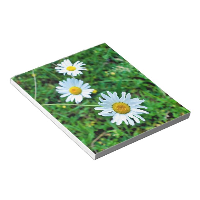 Ox-Eye Daisies Notizblock (angewinkelt)