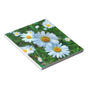 Ox-Eye Daisies Notizblock