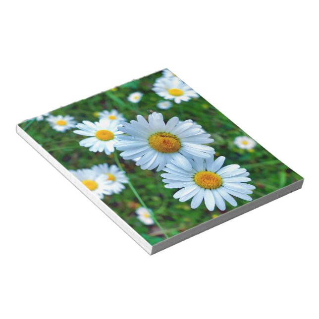 Ox-Eye Daisies Notizblock (angewinkelt)