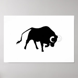 OX, moggy, Rinder, Kuh, Stierkampf, Korrida, Horn Poster