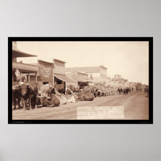 OX-Teams im Gebiet Sturgis Dakota SD 1887 Poster