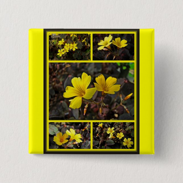 Oxalis Yellow-Flower Houseplant Button (Vorderseite)
