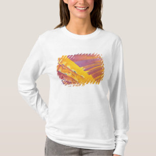 Oxalische Säure-Kristalle T-Shirt