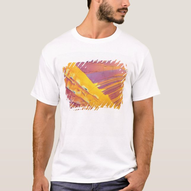 Oxalische Säure-Kristalle T-Shirt (Vorderseite)