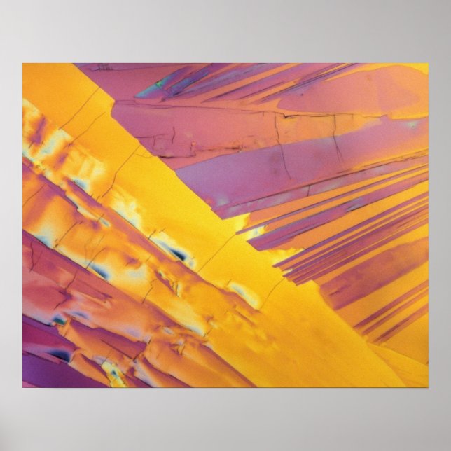 Oxalsäure-Kristalle Poster (Vorne)