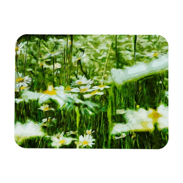Oxeye Daisy Abstrakt Impressionismus Magnet (Horizontal)