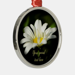 Oxeye Daisy Premier Round Ornament Aus Metall