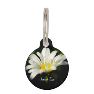 Oxeye Daisy Round Dog Tag Haustiermarke