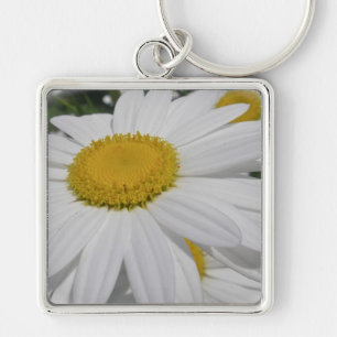 Oxeye Daisy Wildblume Blumenartikel Schlüsselanhänger