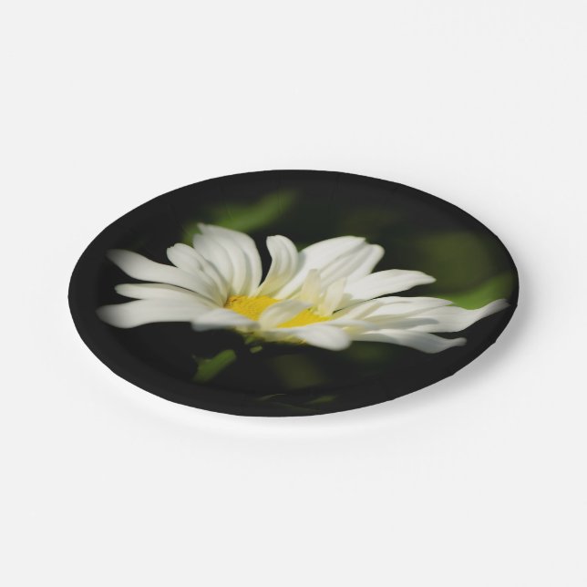 Oxeye Daisy Wildblume Paper Plate Pappteller (Schrägansicht)