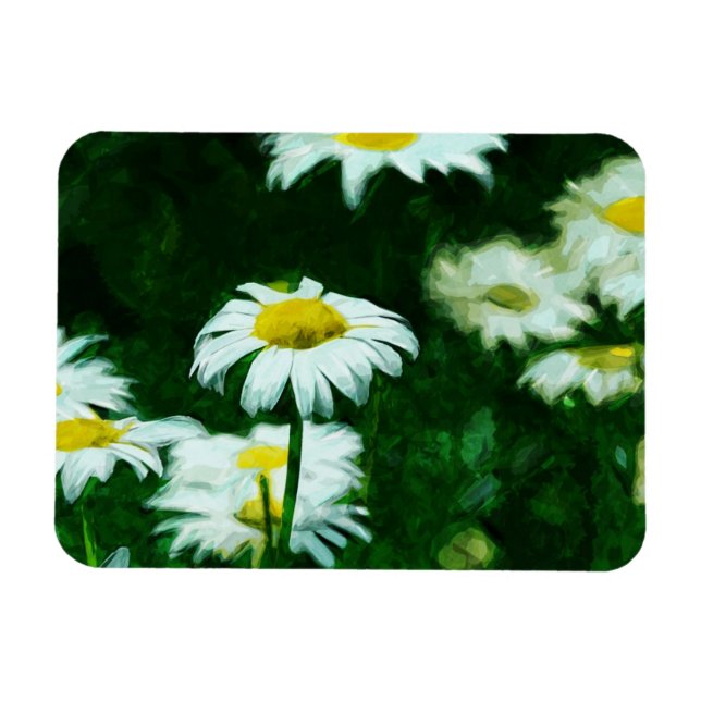 Oxeye White Daisies Abstrakter Impressionismus Magnet (Horizontal)