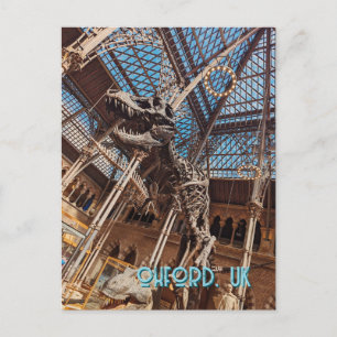 Oxford Natural History Museum Carte postale T-Rex 
