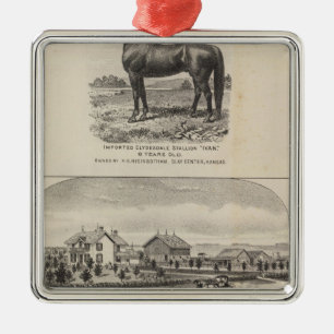 Oxford- und Abilene-Wohnsitze, Kansas Ornament Aus Metall