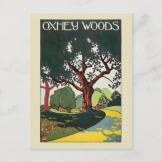 Oxhey Woods Vintage Poster 1915 Postkarte