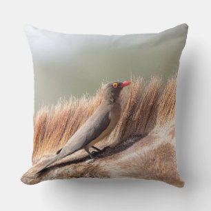 Oxpecker auf einer Giraffe Kissen