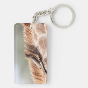 Oxpecker auf einer Giraffe Schlüsselanhänger