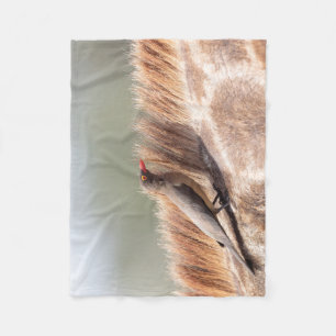 Oxpecker, wir haben Giraffe Fleecedecke