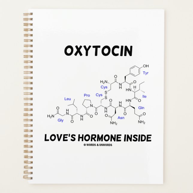 Oxytocin Liebe Hormon Inside Chemie Planer (Vorderseite)