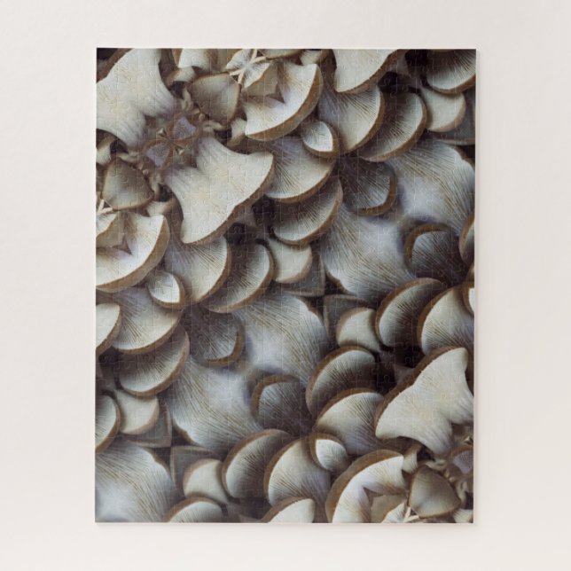 Oyster Mushroom Fun House Mirror Style (Vertikal)