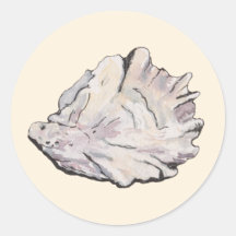 Oyster Watercolor