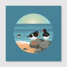 Oystercatcher an der Küste Magnetkarte