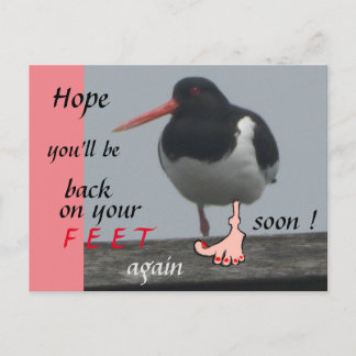 Oystercatcher Get Well bald Spaß Postcard Postkarte