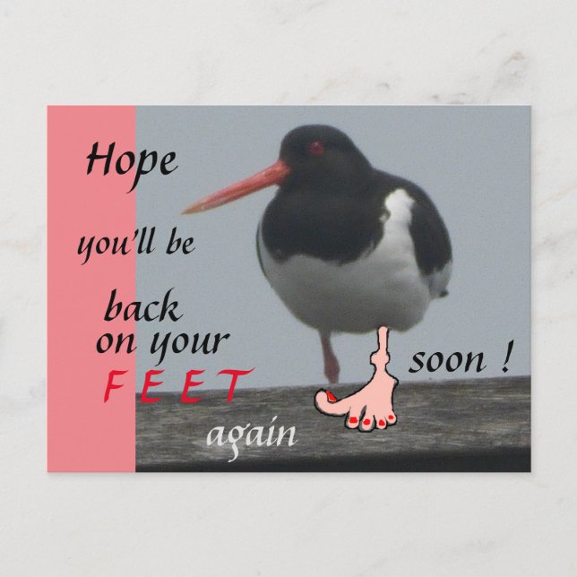 Oystercatcher Get Well bald Spaß Postcard Postkarte (Vorderseite)