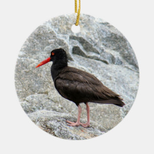 Oystercatcher Keramikornament